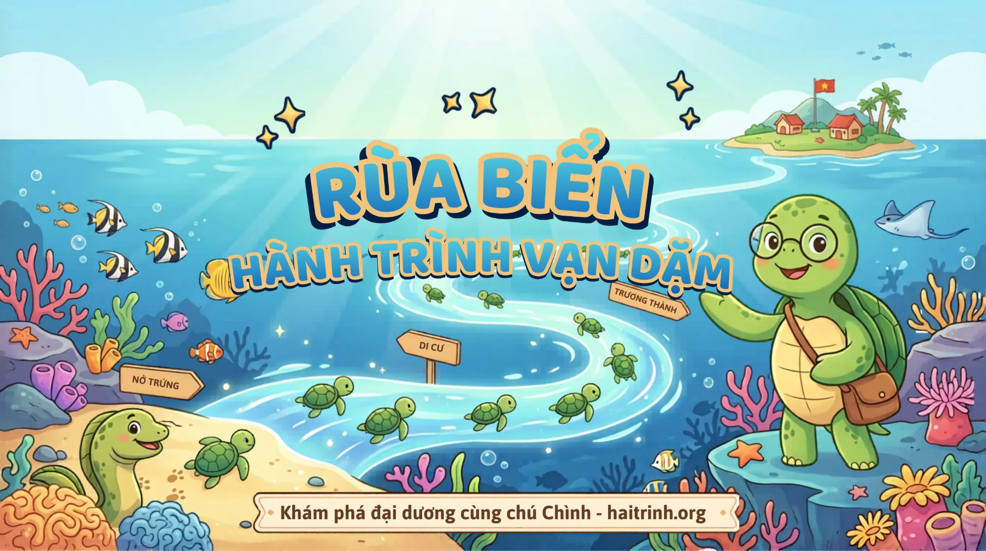 🐢 Rùa Biển — Hành Trình Vạn Dặm | Học cùng chú Chình